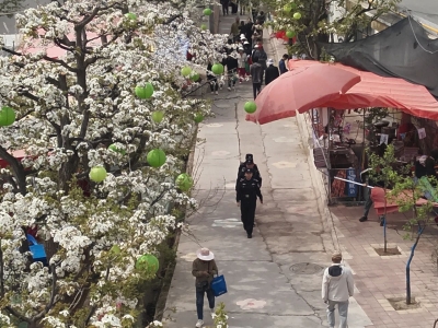 “空中警察”守护平安——青海省海东市乐...