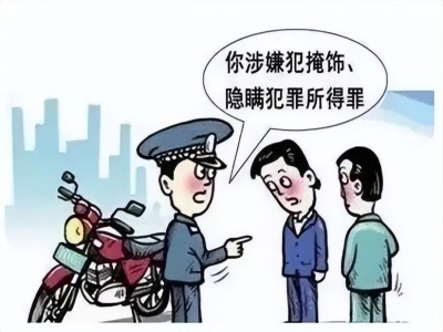案发樟树！天降“百万补贴”还是“犯罪陷阱”？